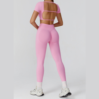 IRINA Seamless Scultping Legging Set - Pink